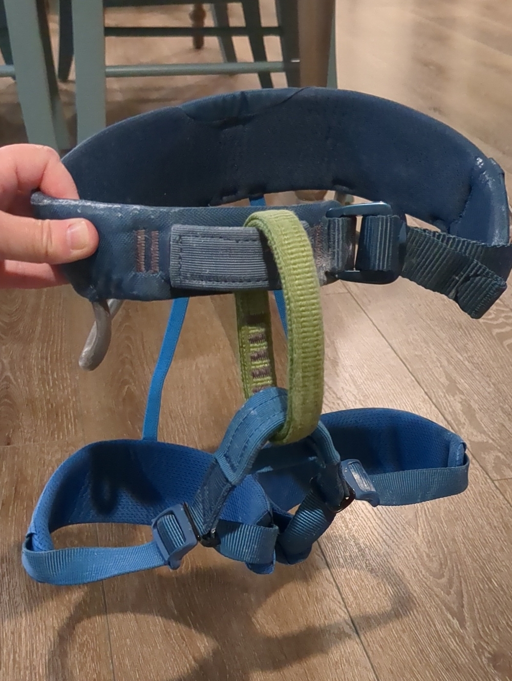Black Diamond Youth Climbing Harness in Blue and Green